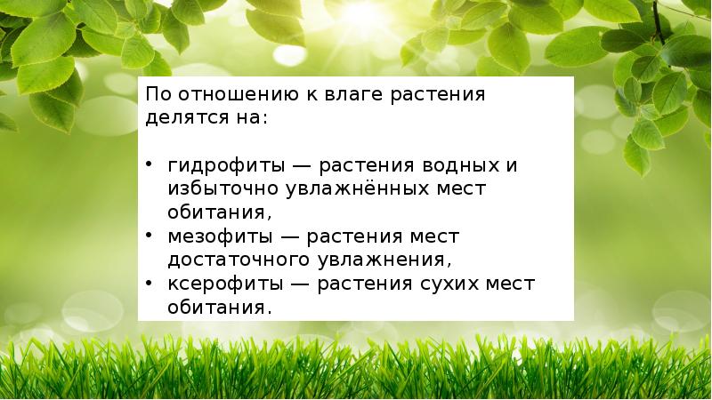 Экологические группы растений тест. Экол группы растений. Характеристика основных экологических групп растений презентация. Характеристика основных экологических групп растений. Растительные сообщества 7 класс презентация.