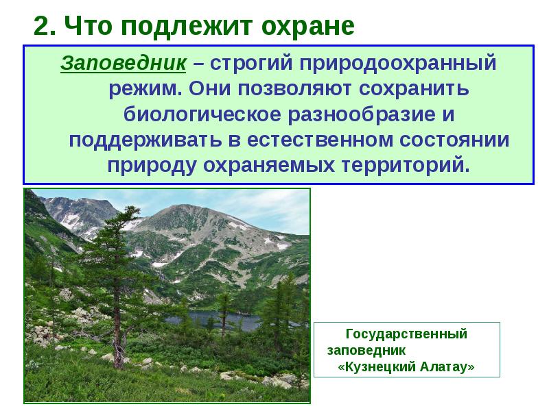 Презентация по обществознанию 7 класс охранять природу значит охранять жизнь фгос