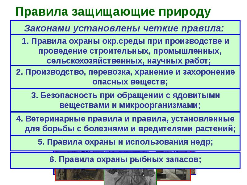 Охранять природу значит охранять жизнь презентация 7 класс обществознание