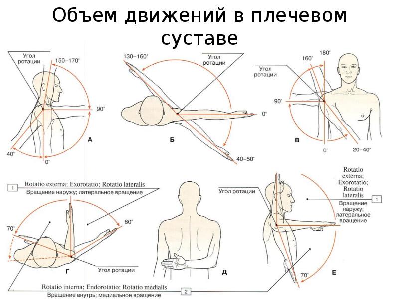 Плечелопаточный полиартрит. Ограниченное движение в плече. Лопаточно плечевой сустав. Объем движений в тазобедренном суставе. Оси вращения плечевого сустава.