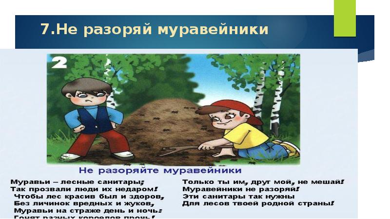 Учимся беречь природу презентация 7 класс обществознание