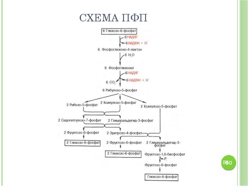 Пфп с схема