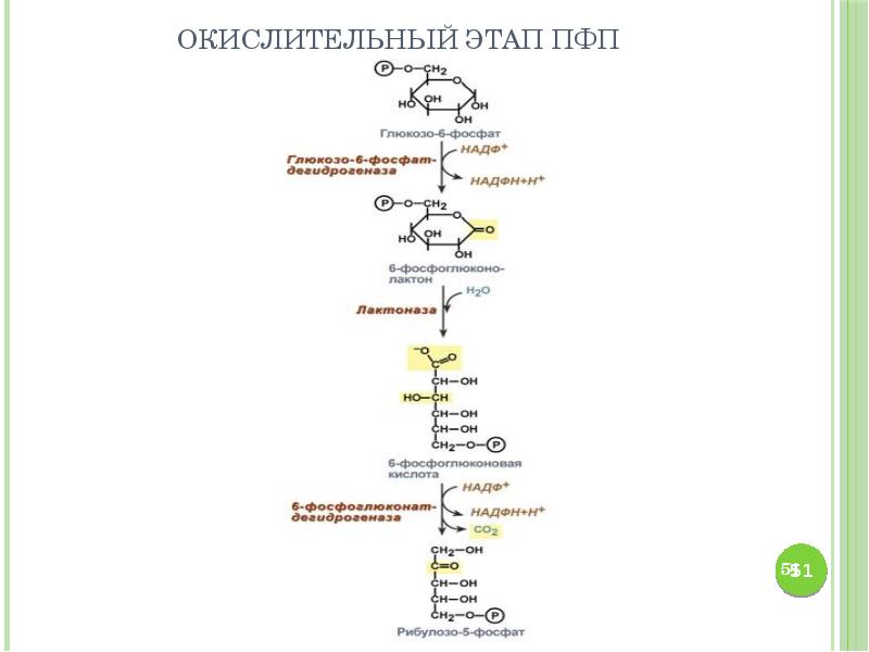 Пфп с схема