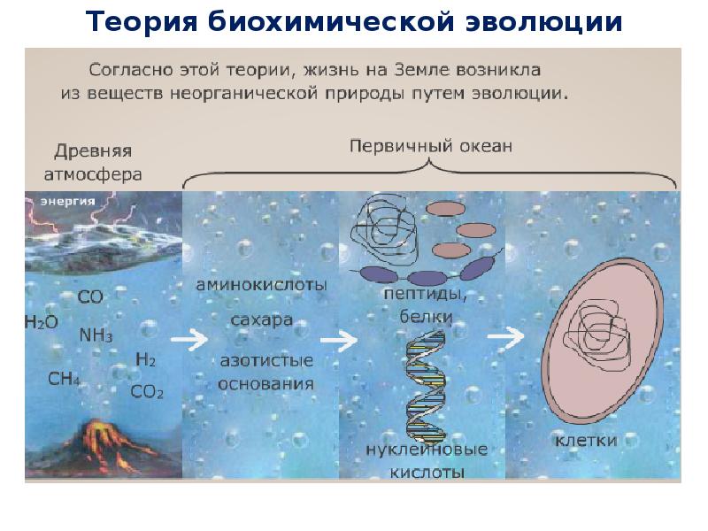 Происхождение и начальные этапы развития жизни на земле презентация