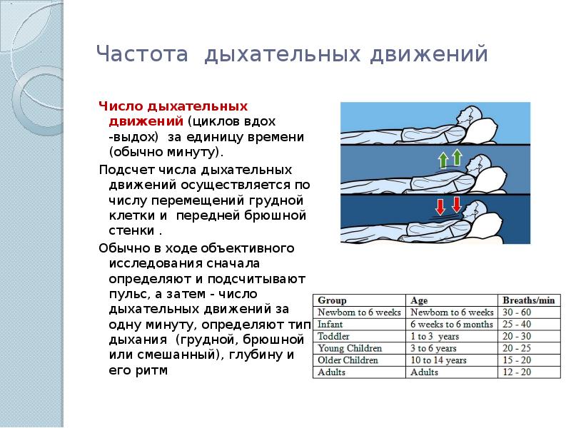 Вдох в минуту. Частота дыхательных движений. Частота дыхательных движений в минуту. Частота дыхания (циклов/мин). Частота дыхания - число дыхательных циклов в минуту.