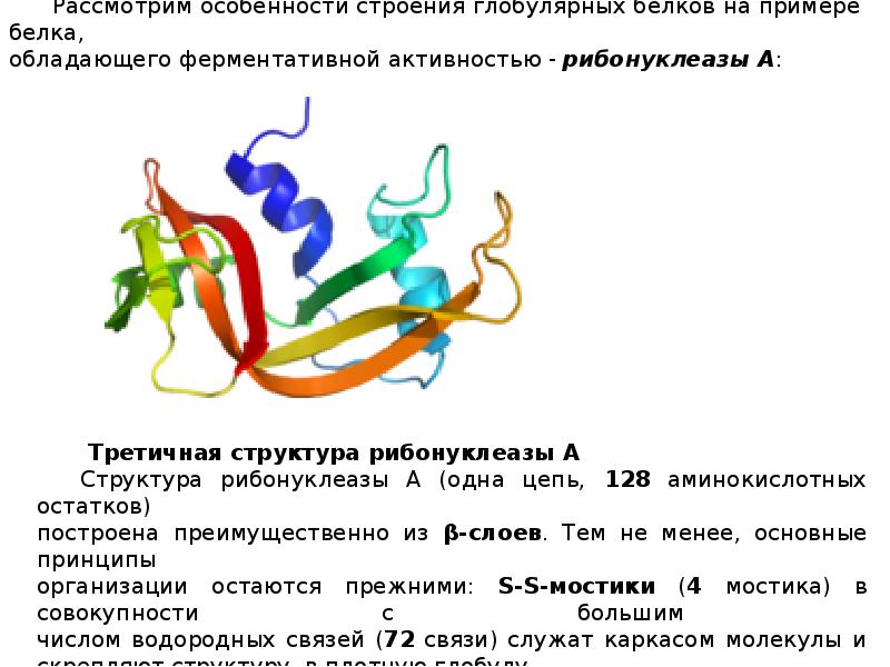 Характеристика строение. Белки особенности строения. Презентация на тему структуры белка. Структурная организация белковой молекулы. Уровни структурной организации белков.