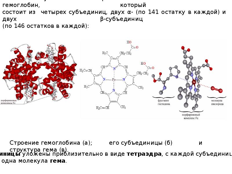 Структура 10. Уровни структурной организации белков гемоглобина. Молекулы белков отличаются друг от друга. Из чего состоят молекулы белков. Изменение конфигурации белковых молекул.