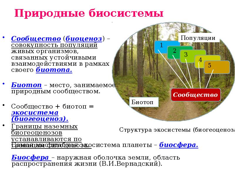 Организм открытая живая биосистема. Природные биосистемы. Свойства биосистемы. Наземные экосистемы биотоп. Функции биосистемы.