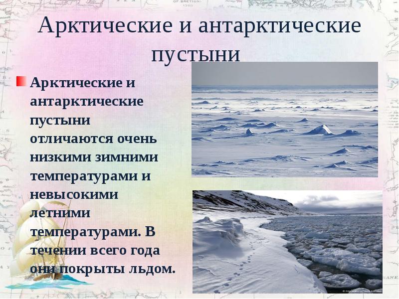 Жизнь в полярных поясах и в океане презентация 5 класс летягин