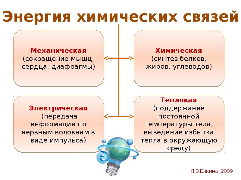 Обмен 8 класс