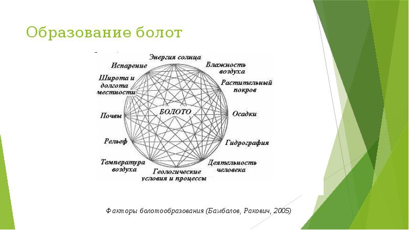 Укажите образование болот. Факторы образования болота. Условия образования болот. Факторы болотообразования. Причины образования болот.