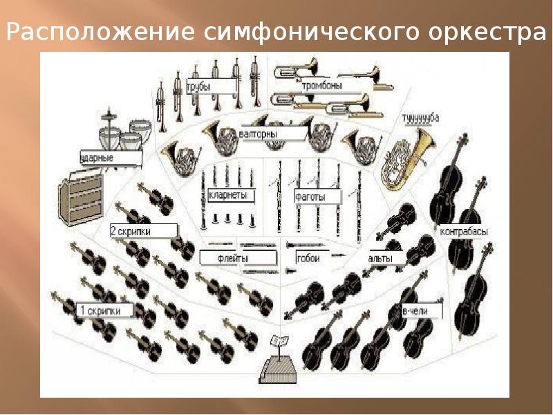 Расположение симфонического оркестра картинка