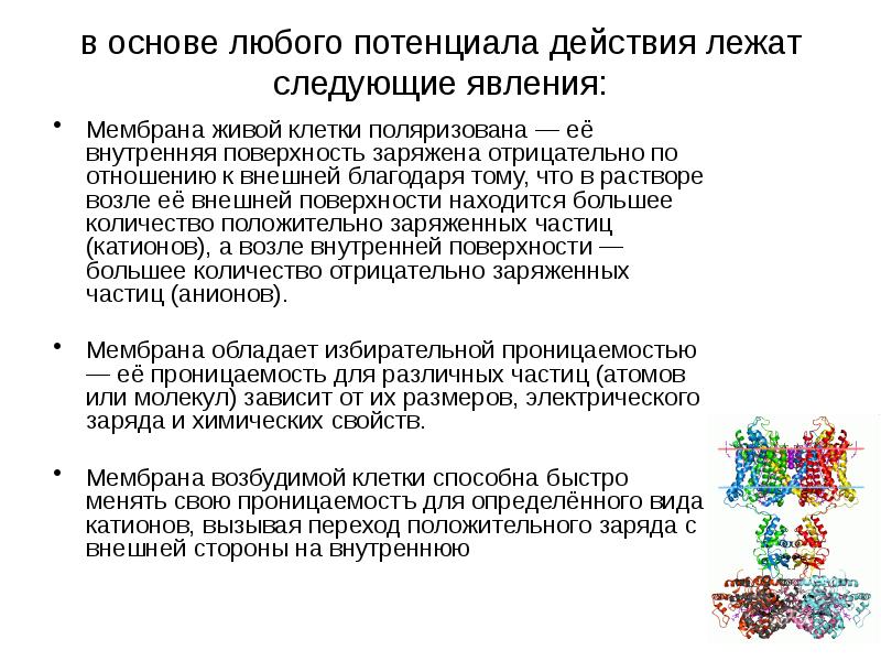 Любой процесс. В основе любой презентации лежит. Характеристика потенциала живой клетки. Что лежит в основе работы механизма действия. В основе любого проекта лежит.