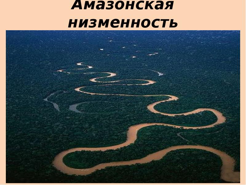 Описать амазонскую низменность по плану шаг за шагом