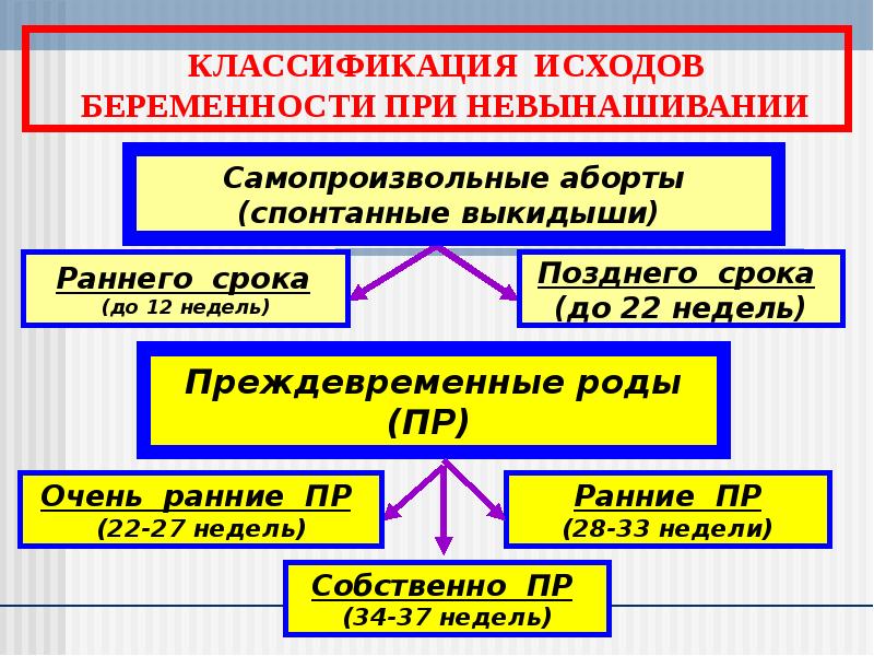 Переношенная беременность акушерство презентация