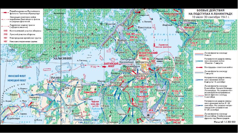 Битва за ленинград 1941 карта