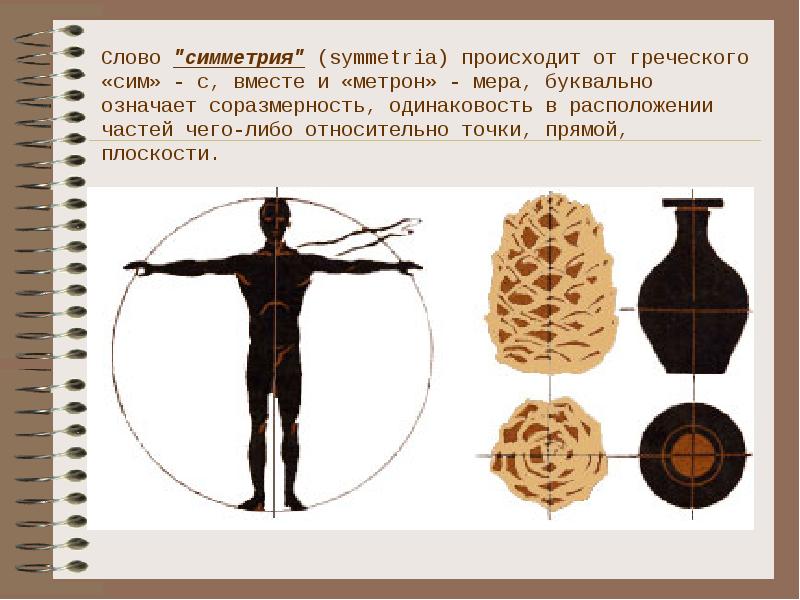 Слово симметрия происходит от греческого и означает соразмерность составьте план текста ответы