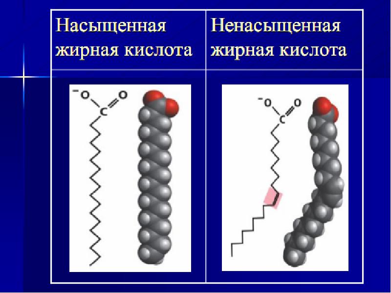 Жирные кислоты картинки