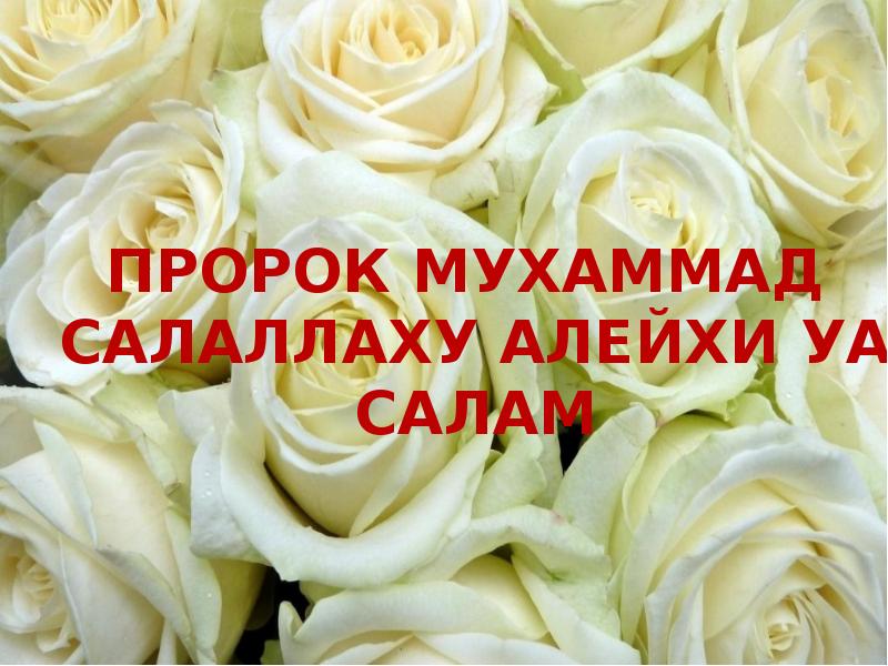 Пророк саллаллаху. Пророк Мухаммад саллаллаху алейхи ва Салам. Мухаммад сялэьаллору алейхи уа Салам. Пророк Мухаммад саллаллаху алейхи одежды. Мухаммад соллоллоху алайхи ва саллам хакида.