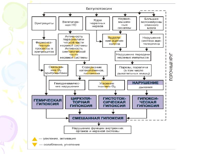 Ботулизм патогенез схема