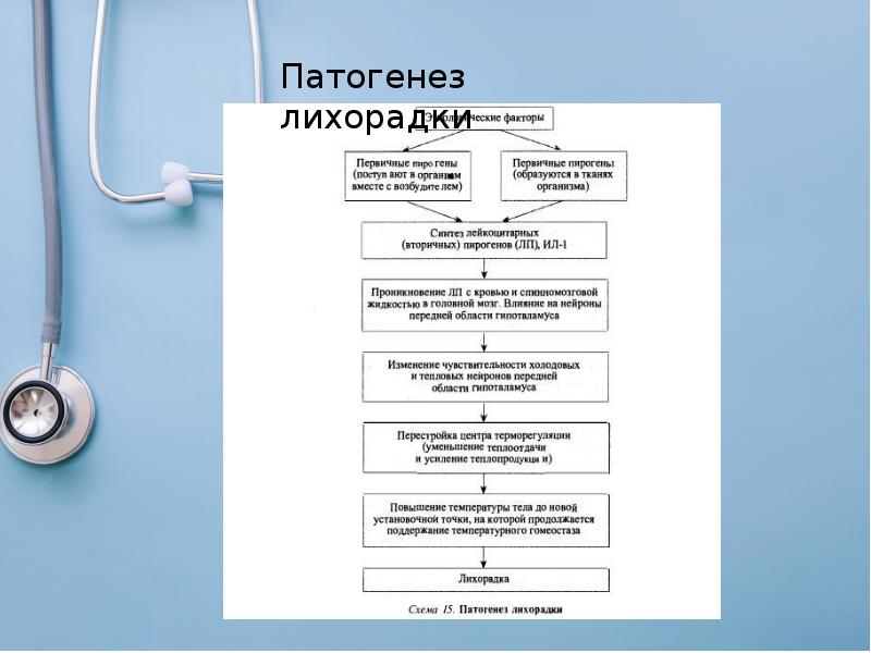 Спбгпму кафедра пропедевтики внутренних болезней