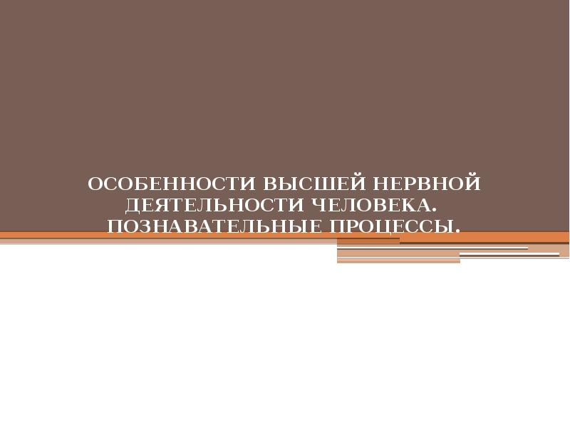 Презентация на тему особенности высшей нервной деятельности человека познавательные процессы