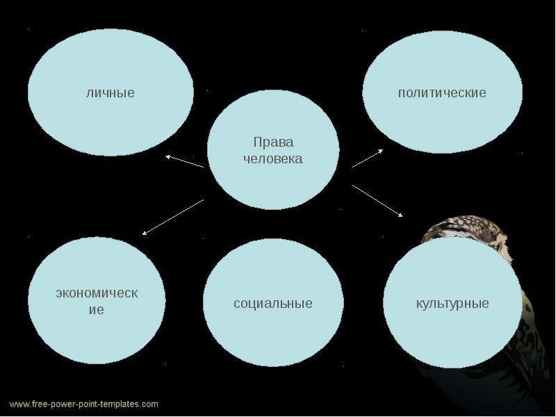 Правовой статус человека в демократическом правовом государстве 10 класс презентация