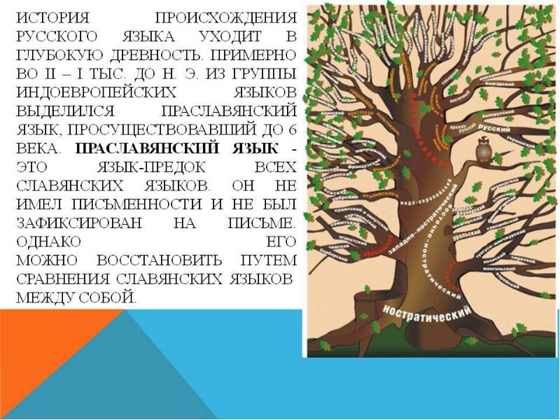 Род 5 букв. Происхождение русского языка. История происхождения русского языка. Происхождение русского литературного языка. Происхождение русского языка языка.