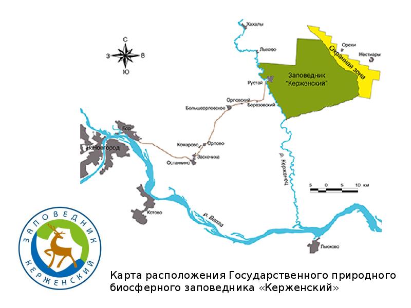 Керженский заповедник презентация