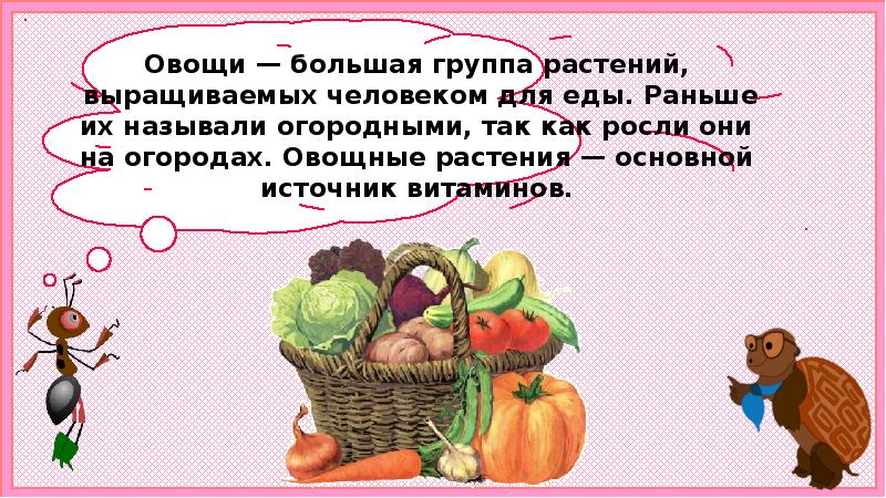 Урок окружающего мира 1 класс почему нужно есть много овощей и фруктов с презентацией