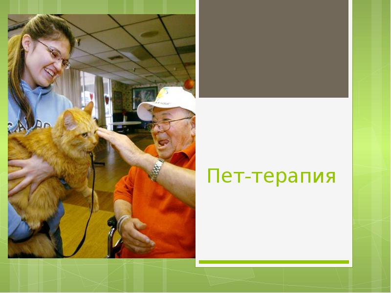 Пет-терапия