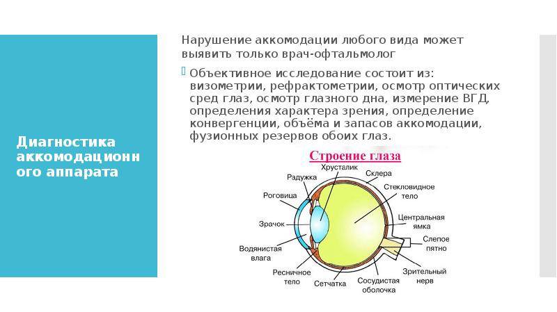 Исследование аккомодации зрения проект