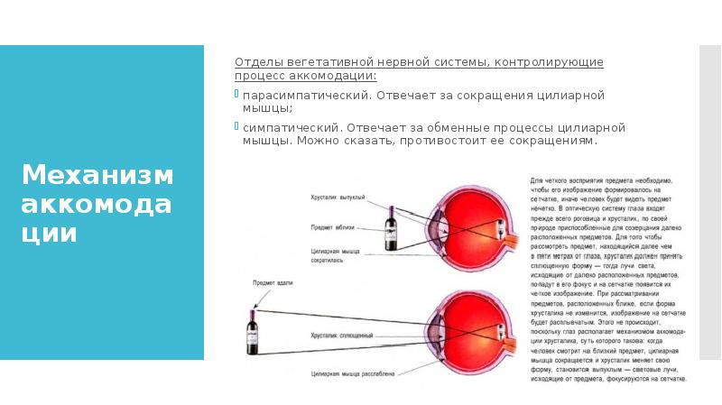 Мкб аккомодация