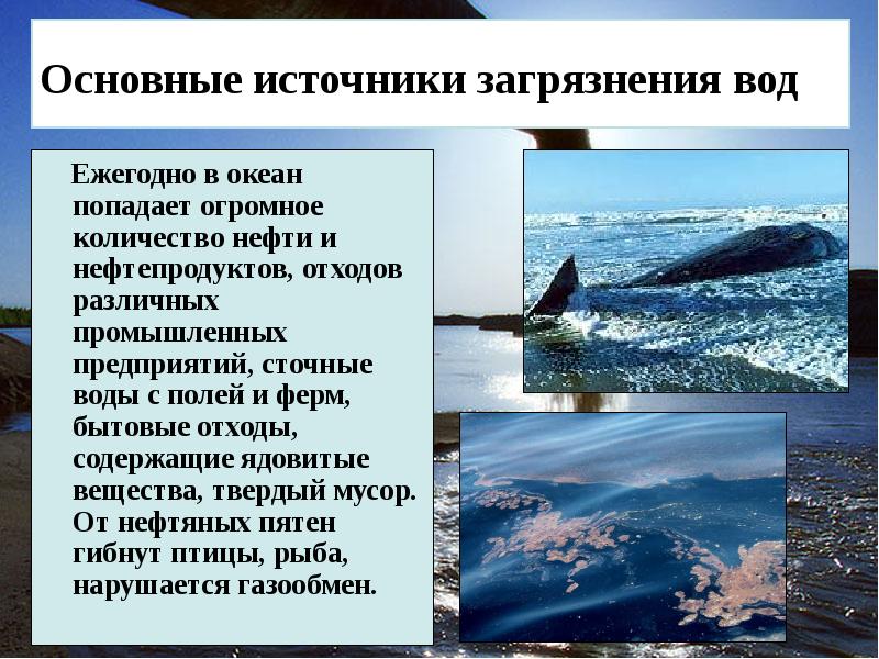 Проект загрязнение воды 8 класс