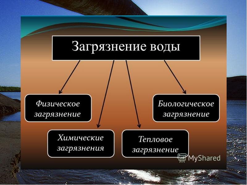 Биологическое загрязнения гидросферы. Естественные источники загрязнения гидросферы. Загрязнение пресных вод.