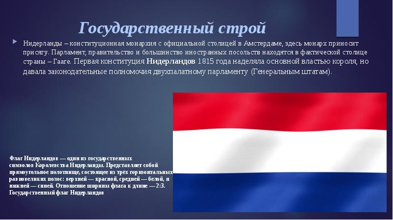 Нидерланды устройство. Государственный Строй Нидерландов. Государственное устройство Нидерландов. Политическое устройство Нидерландов. Политический Строй Голландии.