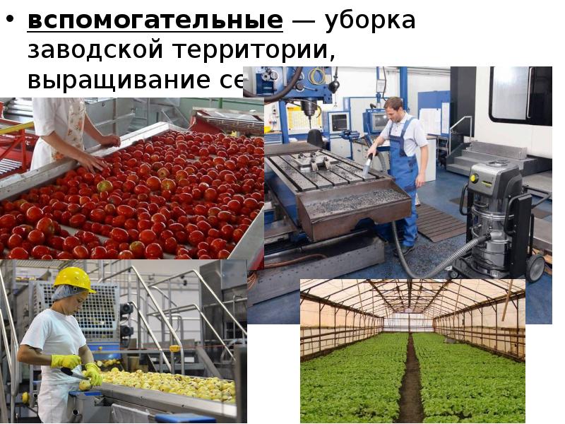 Производственная логистика. Локальные поставщики сельхозпродукции. Менеджер по закупкам сельхозпродукции. Понятие, задачи и функции производственной логистики.