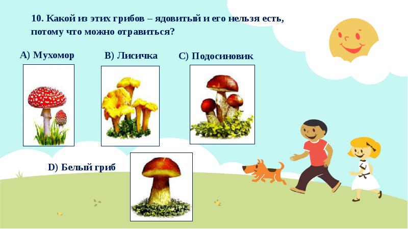 Умники и умницы 4 класс презентация