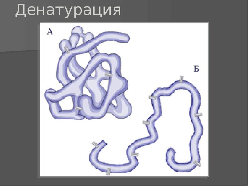 Денатурация белков проект