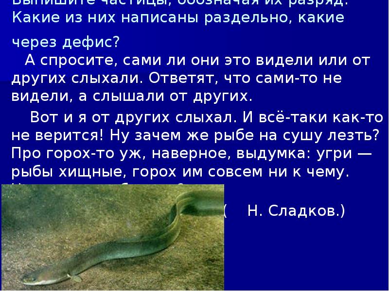 Выпишите частицы, обозначая их разряд. Какие из них написаны раздельно, какие Выпишите частицы, обозначая их разряд. Какие из них написаны раздельно, какие
