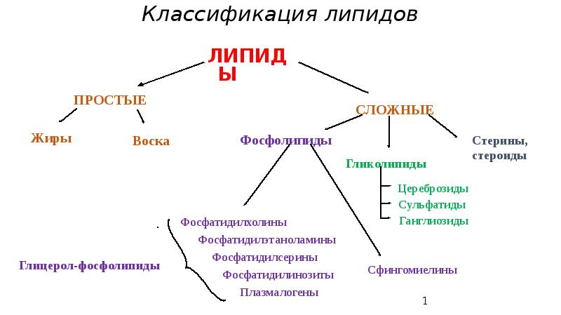 Презентация классификация жиров