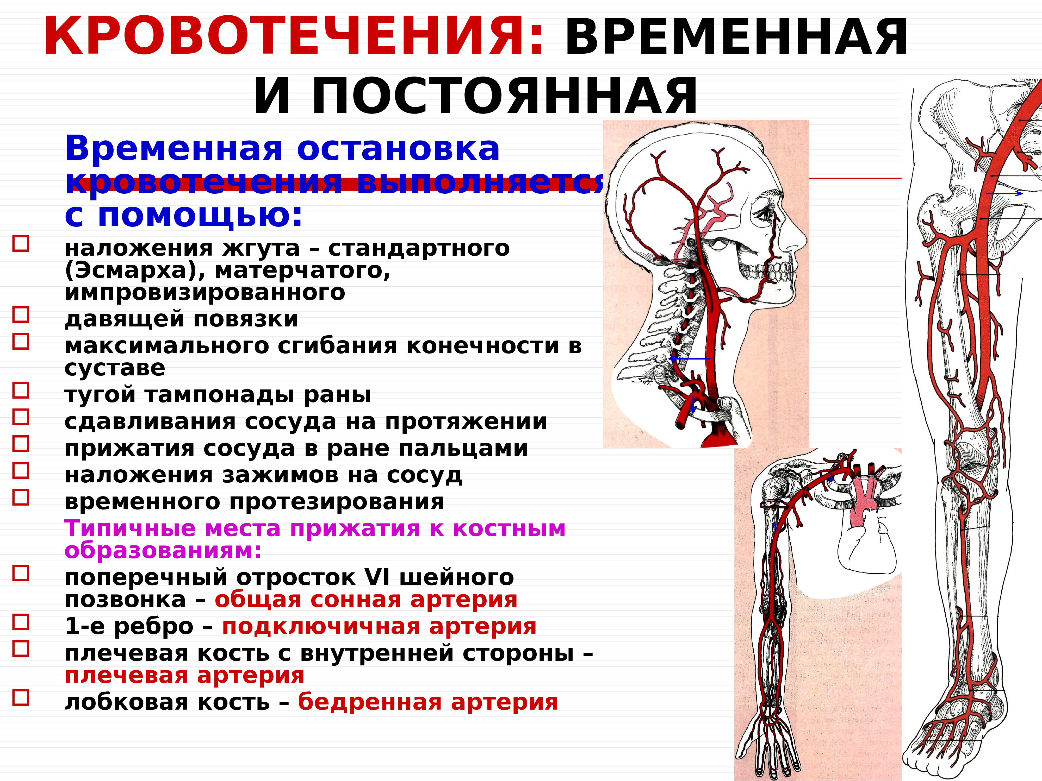 Остановка кровотечения верхних конечностей. Подвздошная артерия остановка кровотечения. Операции на артериях топографическая анатомия. Операции на артертттопографическая анатомия. Методы остановки кровотечения из бедренной артерии.