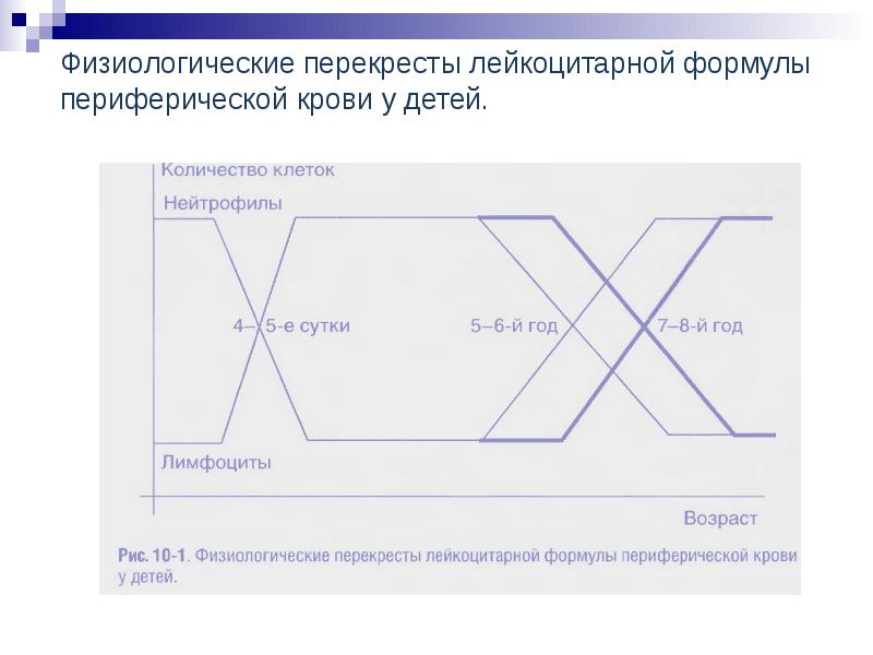 Схема физиологического перекреста лейкоцитарной формулы у детей