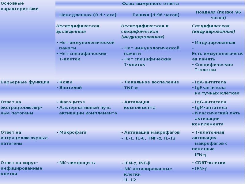 Схема иммуного ответа