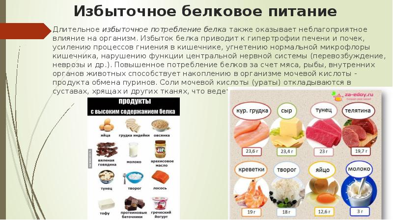 Избыточное белковое питание
Длительное избыточное потребление белка также оказывает неблагоприятное влияние на Избыточное белковое питание
Длительное избыточное потребление белка также оказывает неблагоприятное влияние на