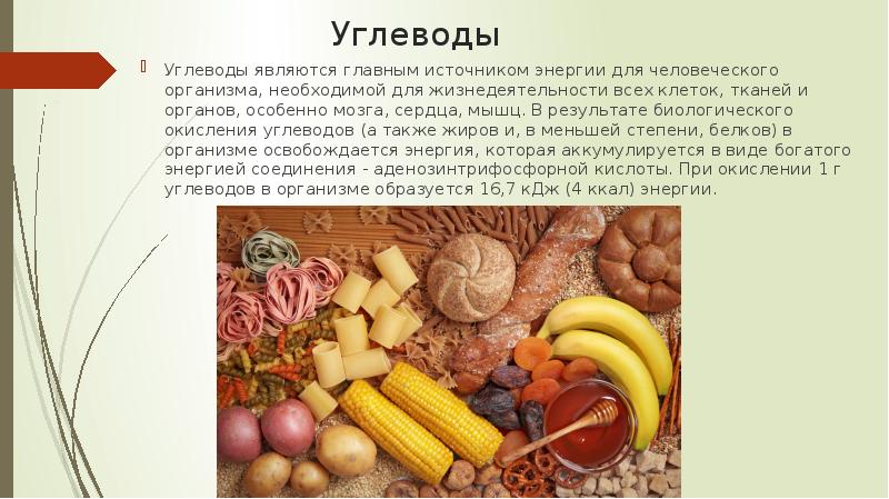 Углеводы
Углеводы являются главным источником энергии для человеческого организма, необходимой для Углеводы
Углеводы являются главным источником энергии для человеческого организма, необходимой для