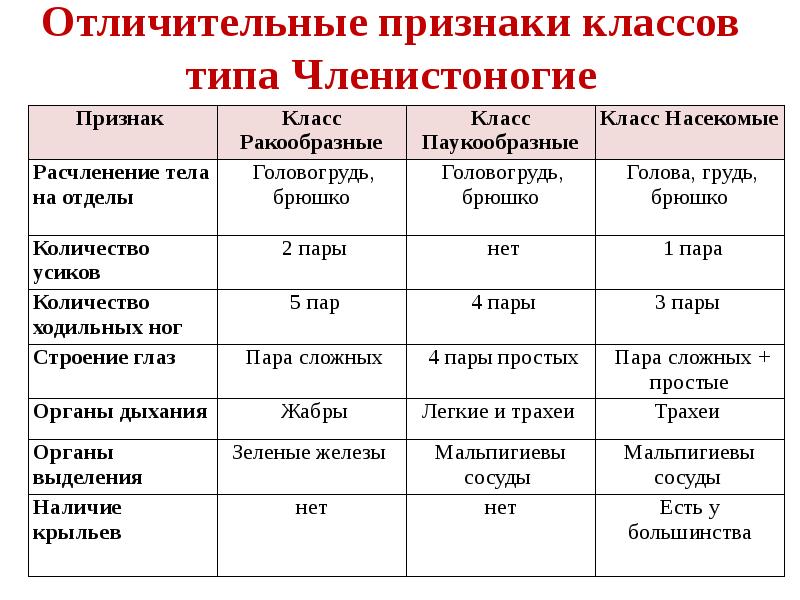 Укажите отличительные признаки проекта