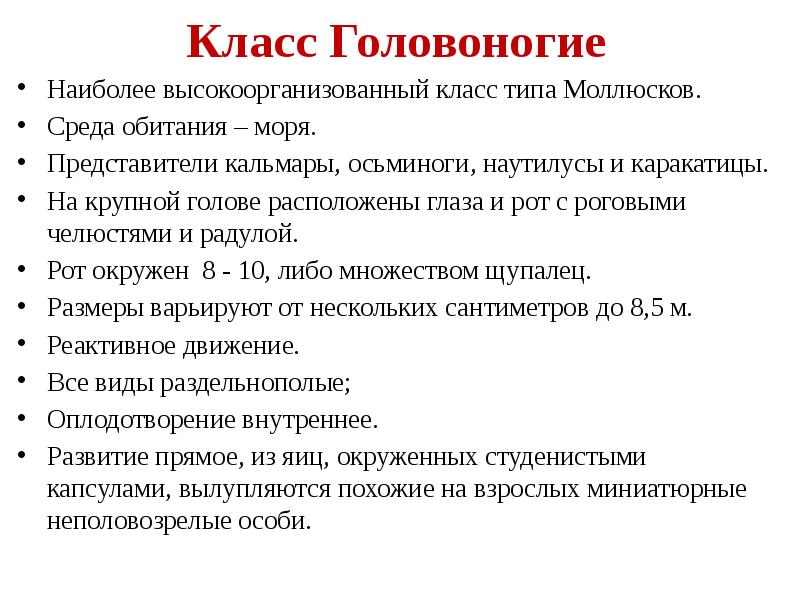 Кольчатые наиболее высокоорганизованные. Высокоорганизованный это.