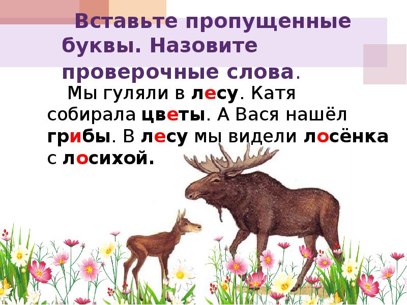 Называешься проверить. Цветок проверочное слово. Цветы проверочное слово для 2 класса. Проверочное слово к слову цветок. Лосенок проверочное слово.