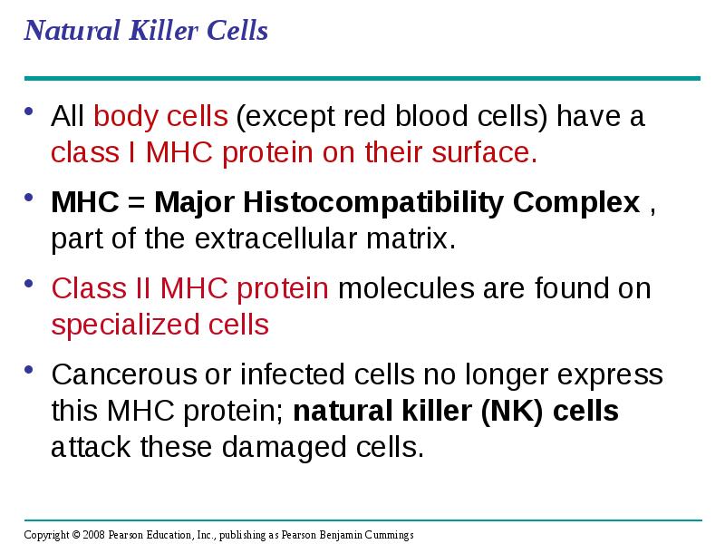 Natural Killer Cells
All body cells (except red blood cells) have Natural Killer Cells
All body cells (except red blood cells) have